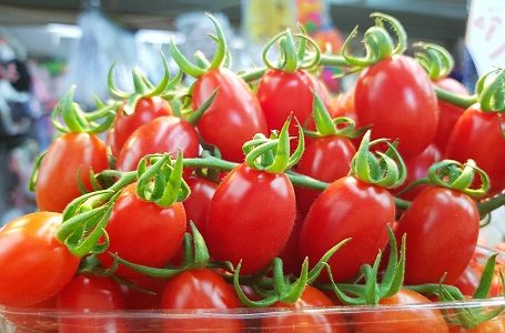 Выращивание томатов черри в закрытом грунте
