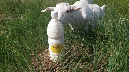 Производство козьего молока
